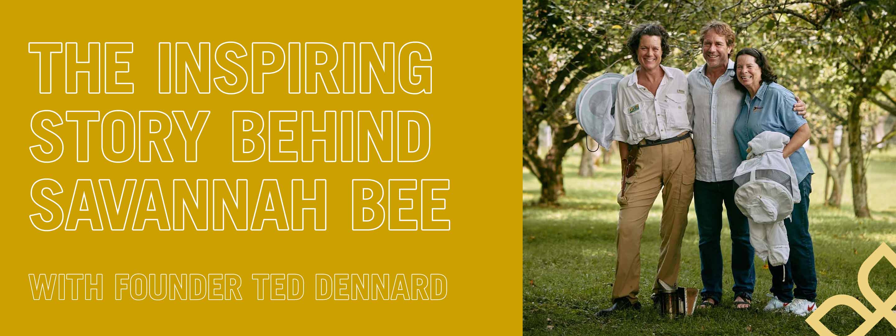 Creating a Buzz: The Inspiring Story Behind Savannah Bee