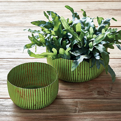 productstrends-2021-gardeningtrends-napa-pots.jpg